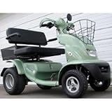 EV Rider Breeze IV Cargo Edition Electric Scooter - 32 Seat - Platinum Green