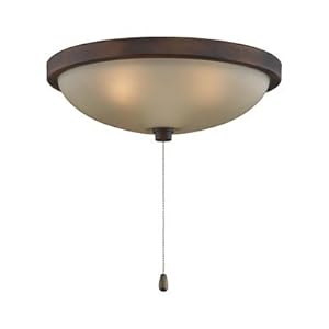 14 Low Profile Bowl Light Kit Tortoise Shell Fanimation Ceiling
