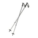 MSR Denali II Snowshoe Poles 2012