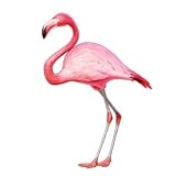 Jointed cardboard flamingo cutout Jointed cardboard flamingo cutout