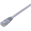 ELECOM GigabitスーパーフラットLANケーブル(シルバー)10m LD-GF/SV10