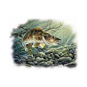 Walleye I Adult Long Sleeve T-Shirt