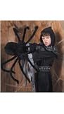 Rubies Costume Halloween Home Decoration 50