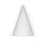 Zealandia Downlight Wall Sconce by A19, Inc.