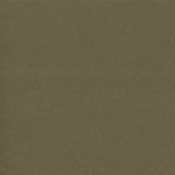 ADP Cardstock 8.5 x 11 - RECYCLED OLIVE Single Sheet