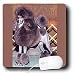 poodle5  - Dogs Poodle Standard Poodle Mouse Pads