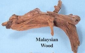 Malaysian Driftwood - MEDIUM 10-15