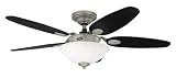 Review Hunter Fan Company  / Hunter Ceiling Fans 28872 Paxton Fan - Antique Pewter Contemporary Indoor Fan 48