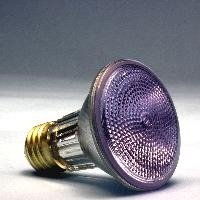 Sylvania 15226 - 50PAR20/DAY/NFL Reflector Flood Daylight Full Spectrum Light Bulb