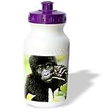 Monkey - Infant Gorrilla - Water Bottles