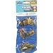Dozen Small Toy Turtles: Set of Mini Plastic Figures