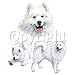 Samoyed Adult Long Sleeve T-Shirt
