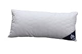 Produkt-Bild: Badenia Bettcomfort 03840860108 Kissen Irisette Tencel 40 x 80 cm perl