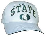 Michigan State School Name White Cap