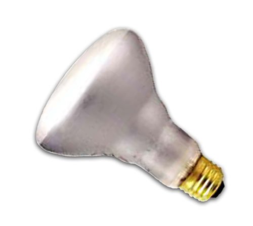 Tuff Coat 65 Watt BR-30 Flood