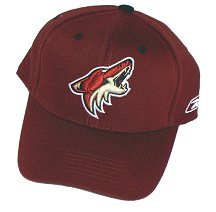Buy Phoenix Coyotes Adult One Fit Team Cap