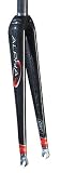Fork GS 10 41mm Rake