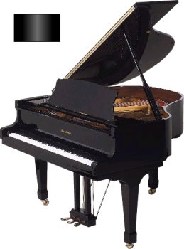 4'8 Player Grand Piano (Ebony Polish)