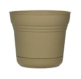 Saturn Planter ( S1220 XKAK ) 6 each - B000HA94IM