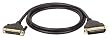 Tripp Lite P606-006-R IEEE1284 Gold Parallel Printer A/B Cable DB25M/Cen36M - 6ft