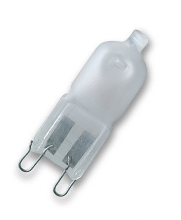 City Travel Guides Discounted  Garten & Freizeit : Osram 141019 Halogenlampen 230V 40W Sockel G9 matt