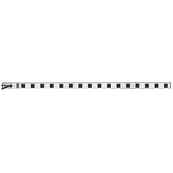 Tripp Lite PS4816 16-Outlet Power Strip (15-Amp, 15-Foot Cord)