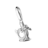 Giorgio Martello Silver Aquarius Charm