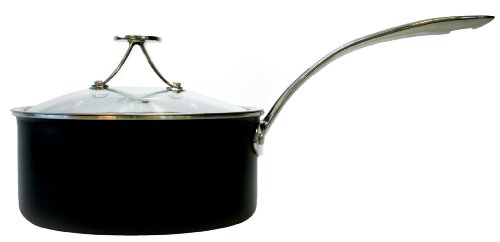 Check Out Tyler Florence 1.5 Quart Steel Clad Sauce Pan with Lid