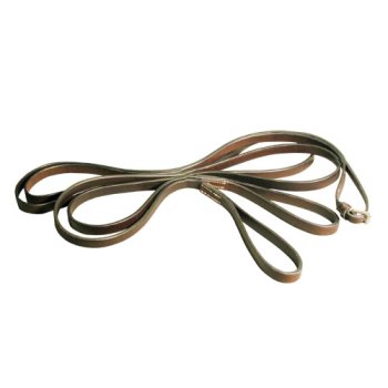 Draw Reins/ Running Reins