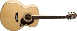 Washburn Cumberland Series J28SDLK Acoustic Guitar - B0006MQ132