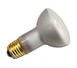 50 Watt R20 Incandescent Flood Light Bulb / 20,000 Hour Life