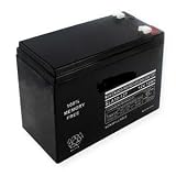12 Volt 10 Ah Rechargeable Battery [Electronics]