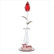 Mom's Red Rose
