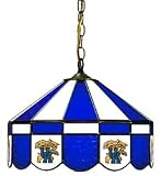 Kentucky Wildcats 16 Swag Hanging Lamp