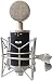 Multi-pattern Condenser Tube Microphone