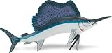 Sailfish