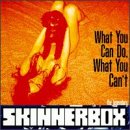 What You Can Do What You Can`t