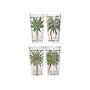 Tropix Summer Rainbow Set of Four 23 oz.Tumblers