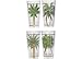 Tropix Palm Island 23 oz. Tumblers