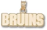 Boston Bruins Bruins Charm/Pendant