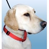 Illusion Collar (Black, Large)