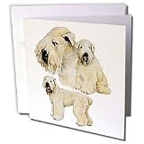 Dogs Soft Coated Wheaten Terrier - Soft Coated Wheaten Terrier - Greeting Cards-12 Greeting Cards with envelopes