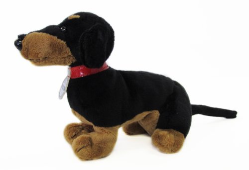 Winston in the City (Pet Tales Book & Toy Set) (Mini book and stuffed toy)
