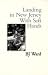 Landing in New Jersey with Soft Hands by Sabrina Ward Harrison