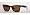 Tortoise with Brown Polarized Lens