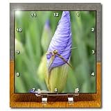 inspirational iris - 6x6 Desk Clock