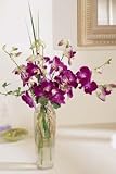 The FTD® Pacific ParadiseTM Arrangement