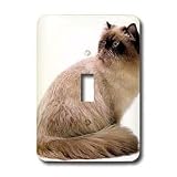Review 3dRose LLC  / Cats - Himalayan - Light Switch Covers - single toggle switch
