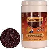 31FUsctfLzL. SL160  PURA PhosLock Filter Media   795 g
