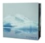 In a Frozen Sea: A Year with Sigur Ros
